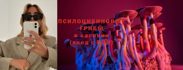 герыч Алзамай