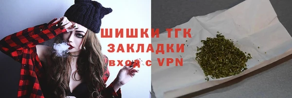 тгк Алексин